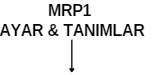 2-MRP1Ayar