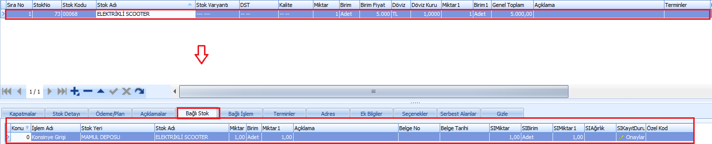 0214_Eldeki konsinye satinalmasi bagli stok