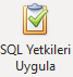 000buton_sqlyetkisi