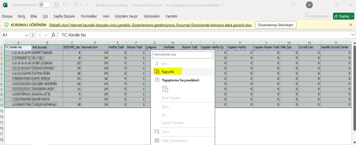 0231_excel_puantaj_detay_aktarma_2