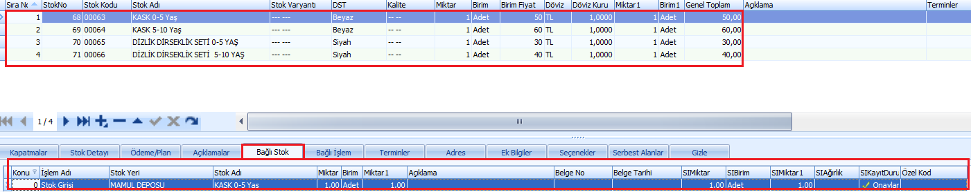 0209_Alis_bagli stok
