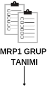 3-MRP1 Grup