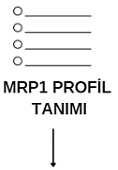 10-MRP Profil Tanimi