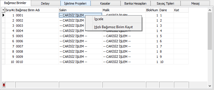 bys bağımsız birim örnek detay